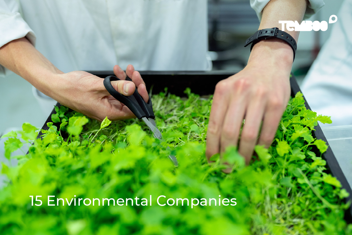 15 Environmental Companies Working Towards a More Sustainable World